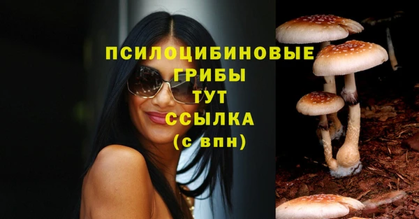Альфа ПВП Алзамай