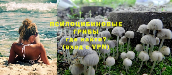 бошки Алексин