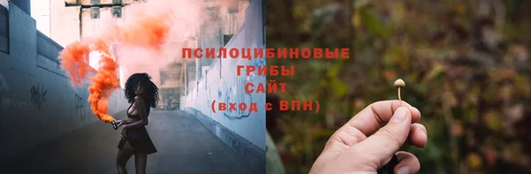 дмт Аркадак
