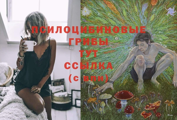 Альфа ПВП Алзамай