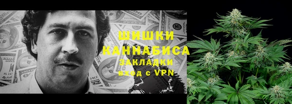 дмт Аркадак