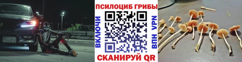 Псилоцибиновые грибы мухоморы  Купить закладки  Уварово 